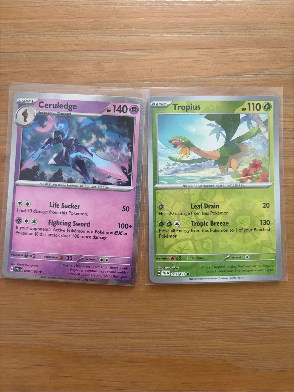 Pokemon pokémon paldea